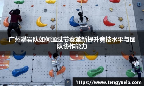 辉达娱乐