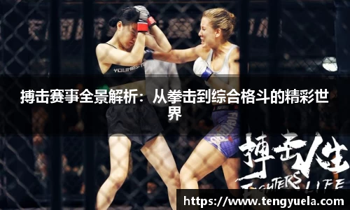 搏击赛事全景解析：从拳击到综合格斗的精彩世界