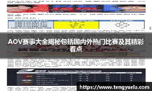 AOV赛事大全揭秘包括国内外热门比赛及其精彩看点