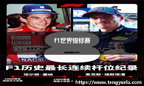 f1世界锦标赛