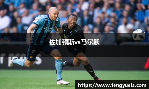 佐加顿斯vs马尔默