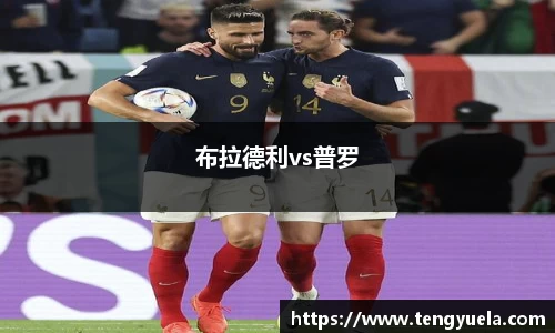 布拉德利vs普罗
