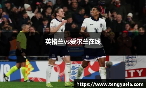 英格兰vs爱尔兰在线