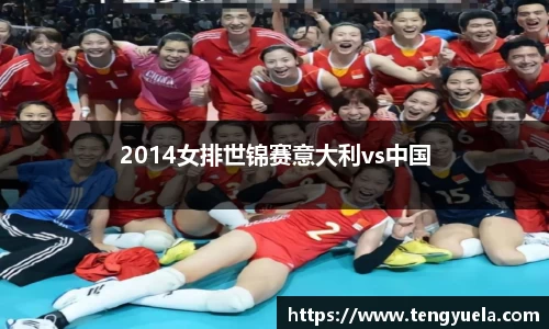 2014女排世锦赛意大利vs中国