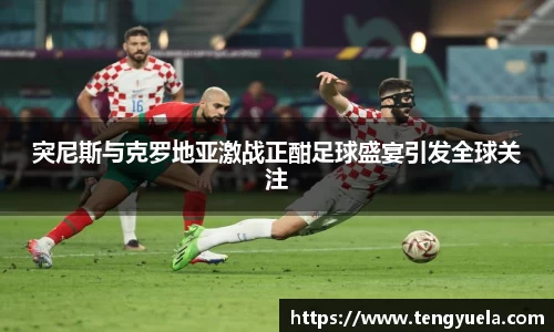 突尼斯与克罗地亚激战正酣足球盛宴引发全球关注