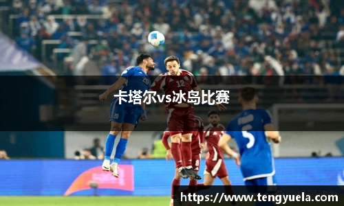 卡塔尔vs冰岛比赛