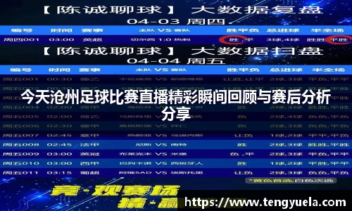今天沧州足球比赛直播精彩瞬间回顾与赛后分析分享