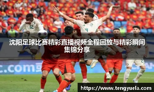 沈阳足球比赛精彩直播视频全程回放与精彩瞬间集锦分享
