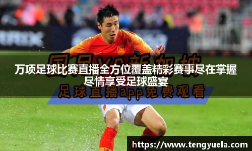 辉达娱乐