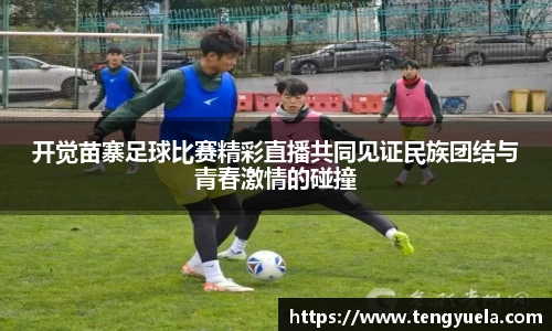 辉达娱乐
