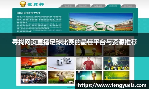 辉达娱乐