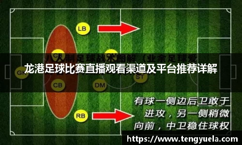 辉达娱乐登录