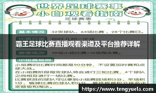 霸王足球比赛直播观看渠道及平台推荐详解