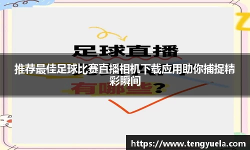辉达娱乐