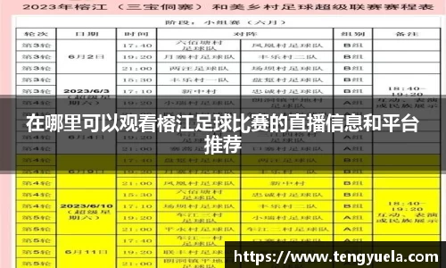 在哪里可以观看榕江足球比赛的直播信息和平台推荐