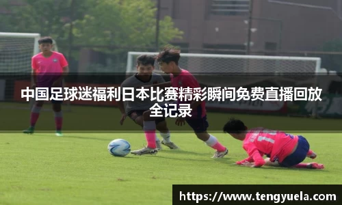 辉达娱乐