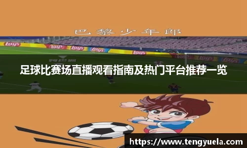 足球比赛场直播观看指南及热门平台推荐一览