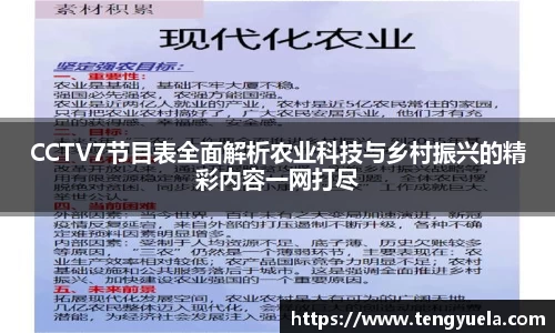 辉达娱乐