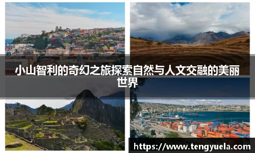 辉达娱乐注册