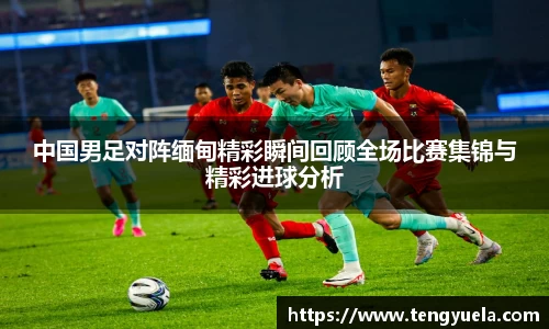 辉达娱乐